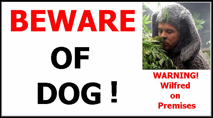 Wilfred - Beware of Dog Sign - Buds