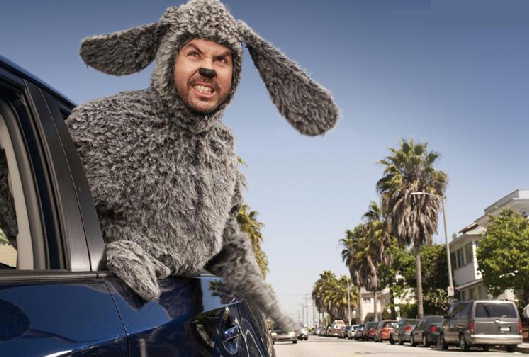 Wilfred Car Ride Free Wallpaper Download